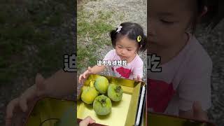 65岁的韩国婆婆给我摘柿子好甜啊 #korea #vlog #koreanfood #baby #中秋節 #food #韩国 #cute #韩国生活 #美食