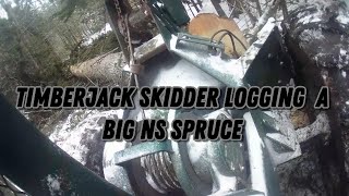 WINTER LOGGING IN NOVA SCOTIA .... Timberjack skidder 562xp cutting big tree