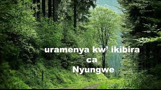 Ikibira ca Nyungwe 90 lyrics by Evode Ntahonankwa