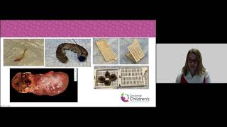 2020 Virtual Middle School Science Symposium--Day 3