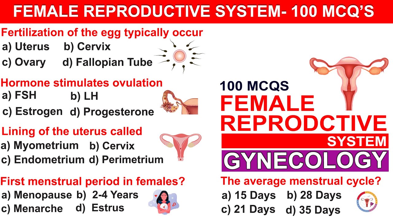 Test Your Knowledge The Ultimate Female Reproductive System Quiz