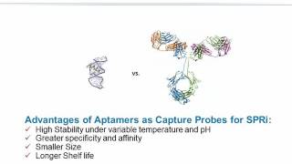 Detection of Small Molecules using an Ultrasensitive SPRi based NanoAptasensor