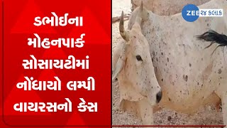 Vadodara: ડભોઈમાં લમ્પી વાયરસે માથું ઉચક્યું, ડભોઈના મોહનપાર્ક સોસાયટીમાં નોંધાયો લમ્પી વાયરસનો કેસ