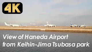 【4K】京浜島つばさ公園の展望台から望む、羽田空港の飛行機着陸の様子