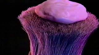 Gillette Brush Plus Commercial 1985