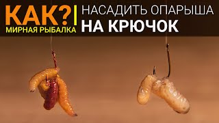 Pinkoo Sirop Video Klip Mp4 Mp3 Pinkoo Sirop Video Klip Mp4 Mp3