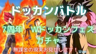 ドッカンバトル7周年　Wドッカンフェスガチャ　たい(父)ver