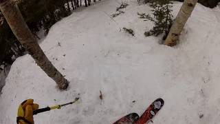 Taking a Run - Staircase Glade - Jay Peak (2017)