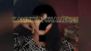 Kamukha challenge l Tiktok compilation 2