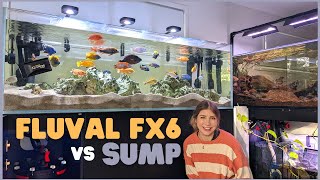 FX6 Canister Filter versus Sump Filtration - Which is Better?