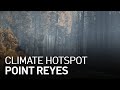 Climate Change Hotspot: Point Reyes -- Climate Change Lengthens Wildfire Season