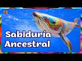 El Canto de las BALLENAS. Viaje Chamánico. Sabiduría Ancestral, las Memorias del Mar. Intuición