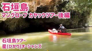 石垣島 マングローブカヤックツアー『後編』