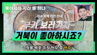 여름바다 귀여운 거북이의 계절