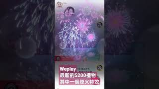 Weplay最新禮物其中一個特效！5200元的煙火