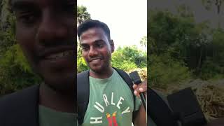 காடுகள்| Forest | Adventure