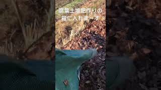 [畑の記録12/11]自然農の腐葉土作り　公園で落ち葉拾ってきました