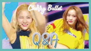 [HOT] Cherry Bullet  - Q\u0026A, 체리블렛 - Q\u0026A Music core 20190216