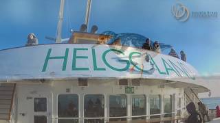 Helgoland im Januar