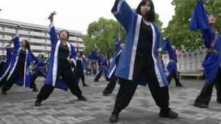 犬山踊芸祭2012　駆気乱『疾風乱舞』