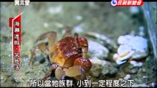 2013.05.11【民視異言堂】海灘渡假．不悠活