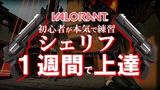 【VALORANT】初心者が本気でシェリフを1週間練習したらどのくらい上達できるのか