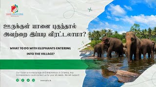 What to do with elephants entering into the village? ஊருக்குள் புகும் யானைகளினை என்ன செய்யலாம்?