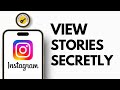 How To View Instagram Stories Without Them Knowing | NO VIEWSEEN 2024