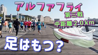 【レース】神戸なぎさ公園20km アルファフライ中距離試走