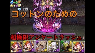 【ハロウィンコットン】超極限アンケートラッシュ！【パズドラ】