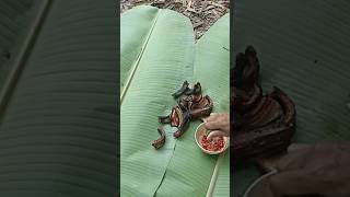 ẩm thực rắn nướng mọi cũng đã xong #shortsfeed #video