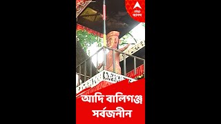 ৭৩ বছরে আদি বালিগঞ্জ সর্বজনীন-এর পুজো