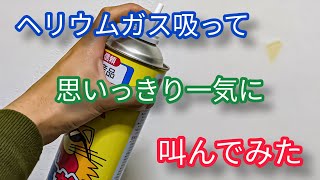 【ヘリウムガス】吸引して叫んでみたらどんくらい声変わっと？