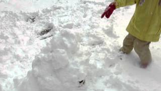 中央公園で雪だるまつくり。