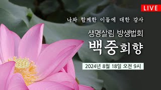 조계사 백중회향 생명살림 방생법회(8/18 9시) #인연의기도 #백중기도 #생중계