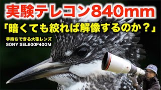 【テレコン840mm】実験！暗くても絞れば解像するか？【ヤマセミ撮影】 #4K #SEL600F40GM #600mmF4 #野鳥撮影