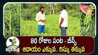 బీన్స్ సాగుతో మంచి లాభం వచ్చింది || 80 రోజుల పంట || Beans Farming Success Story || Karshaka Mitra