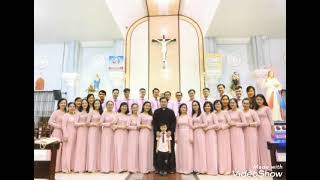 Con Đi Tìm Bình An.LM: Xuân Đường(hiệp lễ cn 6 ps).cđ cecilia GX chánh tòa cần thơ.đệm đàn: h.huy.
