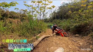 騎到撞樹 三義彬工廠樹根坡+稜線坡 Reiju MR300 Dirt Bike Ride Enduro Off-road 第一人稱視角 Insta360 AcePro 4K影片