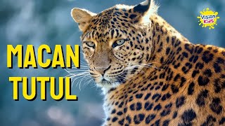 KENALAN DENGAN MACAN TUTUL | FAKTA UNIK MACAN TUTUL