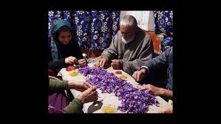 SIGNATURE SAFFRON from Kashmir, India