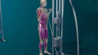 rbi021L_0521_loop.avi