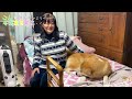 あたしだって一緒がいい♡　冬が来る前に・・・　秋田犬【ごん・みく チャンネル】