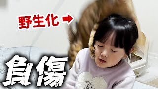 猫釣りで野生の血が呼び覚まされた猫に襲われ負傷してしまいました…