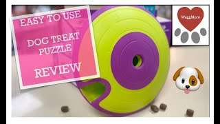 Dog Maze Toy Review