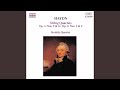 String Quartet No. 8 in E Major, Op. 2, No. 2, Hob. III:8: I. Allegro molto