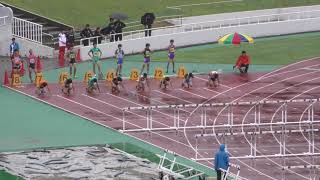 H30　千葉県高校新人3支部予選　男子110mH　1組