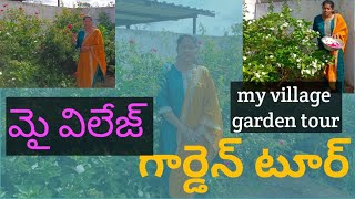 my village garden tour మై విలేజ్ గార్డెన్ టూర్