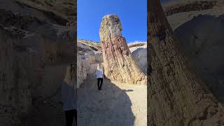 PETRIFIED FOREST OF LESVOS I WELCOME TO LESVOS