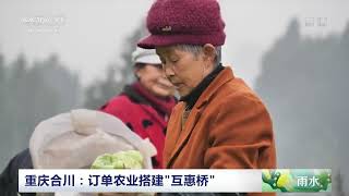 [中国三农报道]重庆合川：订单农业搭建“互惠桥”|农业致富经 Agriculture And Farming